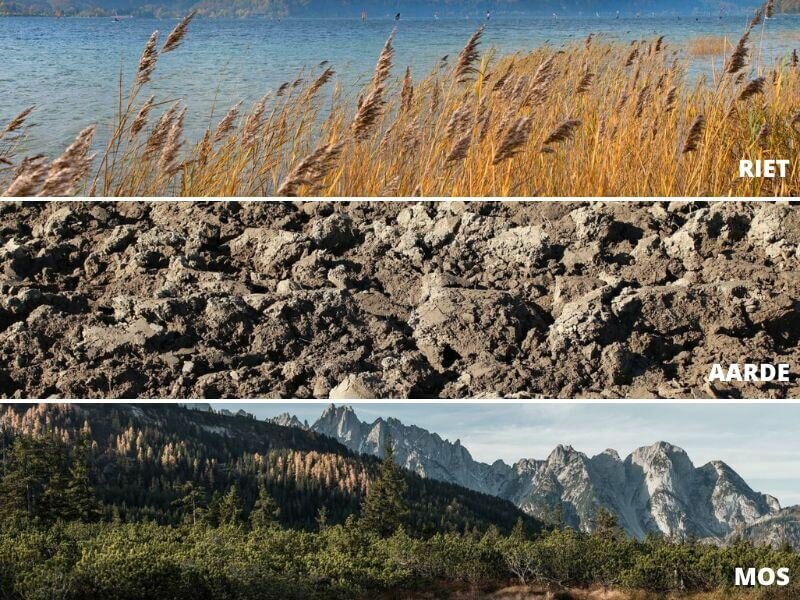 Kleuren ge&iuml;nspireerd op het Salzkammergut riet aarde mos