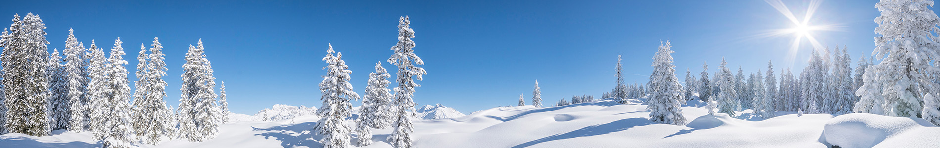 Winterpanorama met met sneeuw bedekte bomen, ongerepte sneeuwvelden en een heldere blauwe lucht, met een stralende zon op de achtergrond.