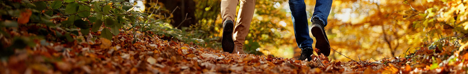 Herfstwandelingen zonder koude voeten