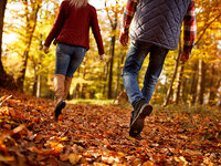 Mooie herfstwandelingen zonder koude voeten