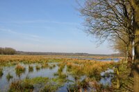 Leukste wandelroute van Drenthe- Janny Koers Leukste wandelroute van Drenthe- Janny Koers